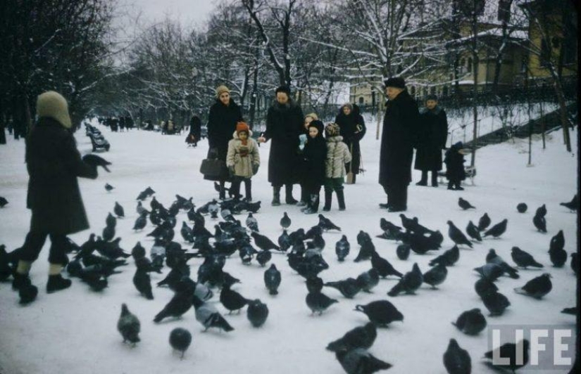 20 photos of little Muscovites of the early 1960s