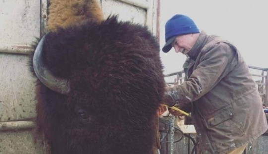 20 pictures that give an idea about the real sizes of some things