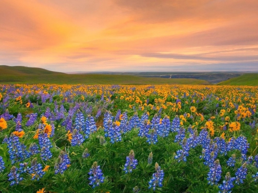 20 places on the planet where nature has spared no colors