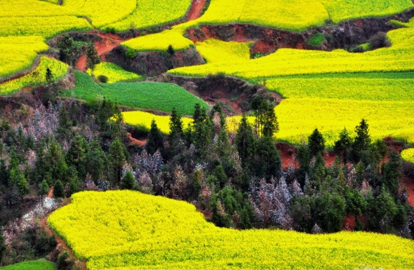 20 places on the planet where nature has spared no colors