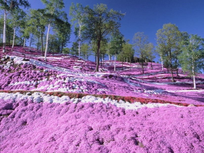 20 places on the planet where nature has spared no colors