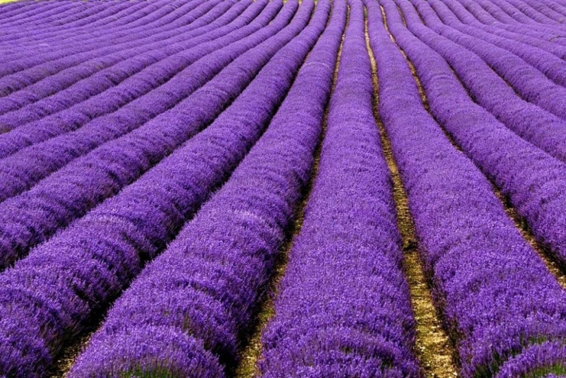 20 places on the planet where nature has spared no colors