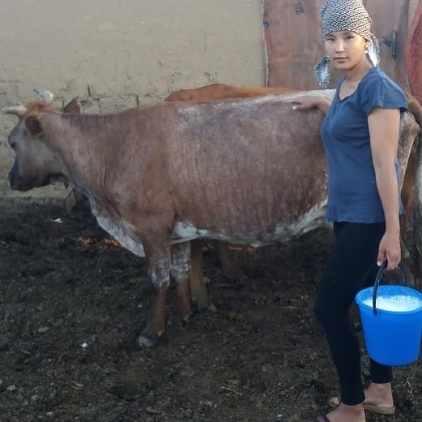 20 rural milkmaids from Instagram, with whom you will definitely fall in love