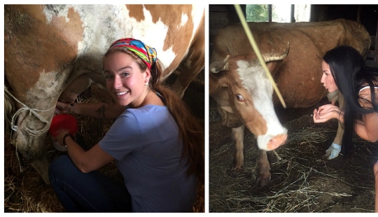 20 rural milkmaids from Instagram, with whom you will definitely fall in love