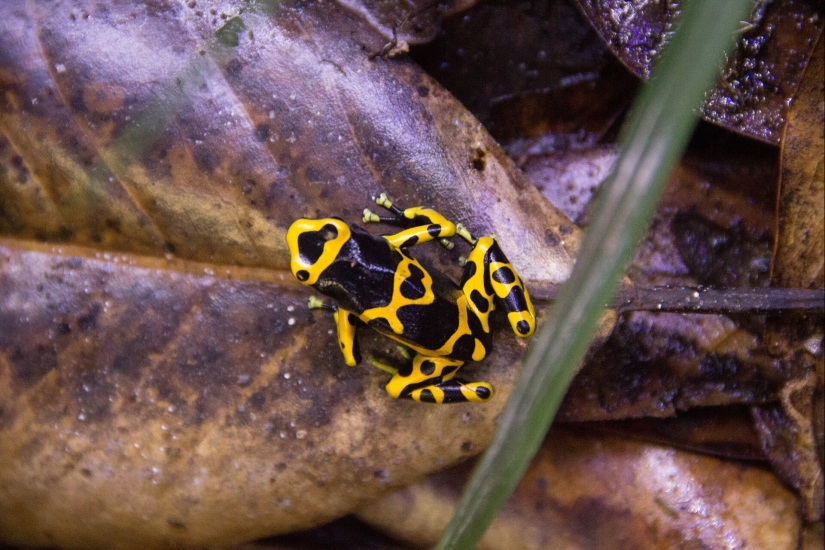 20 señales de la naturaleza que nos advierten del peligro