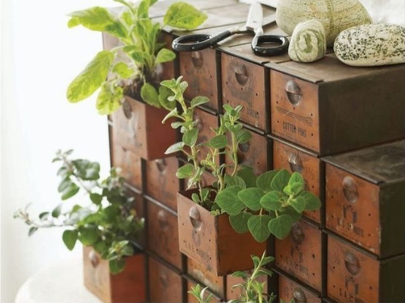 20 small gardens that fit in the palm of your hand