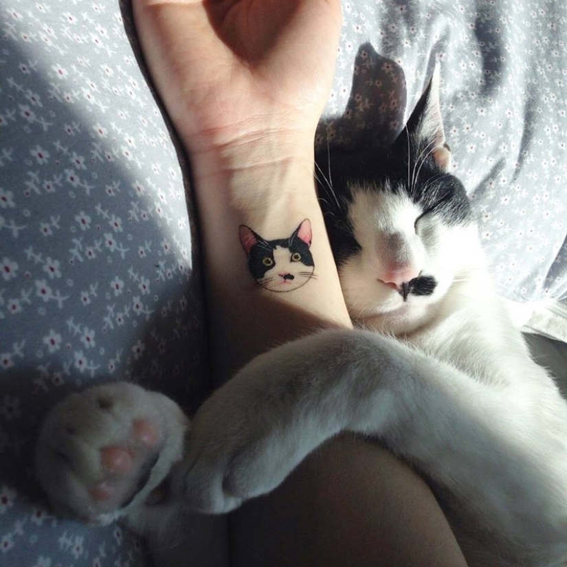 20 tatuajes minimalistas para amantes de los gatos