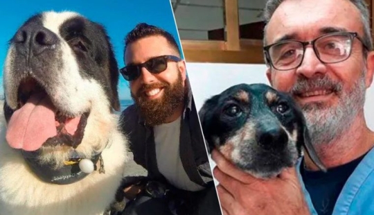 20 touching photos of dogs and their owners at the beginning of a friendship after many years