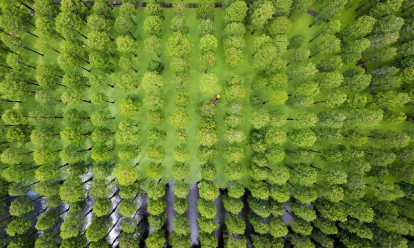 20 vistas vertiginosas desde una altura