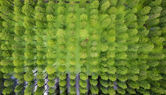 20 vistas vertiginosas desde una altura