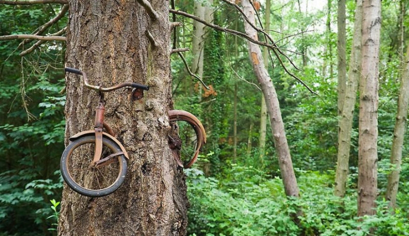 21 ejemplos cuando la naturaleza derrotó a la civilización