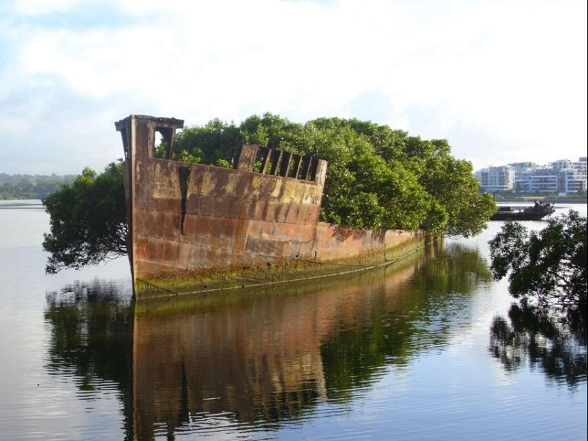 21 ejemplos cuando la naturaleza derrotó a la civilización