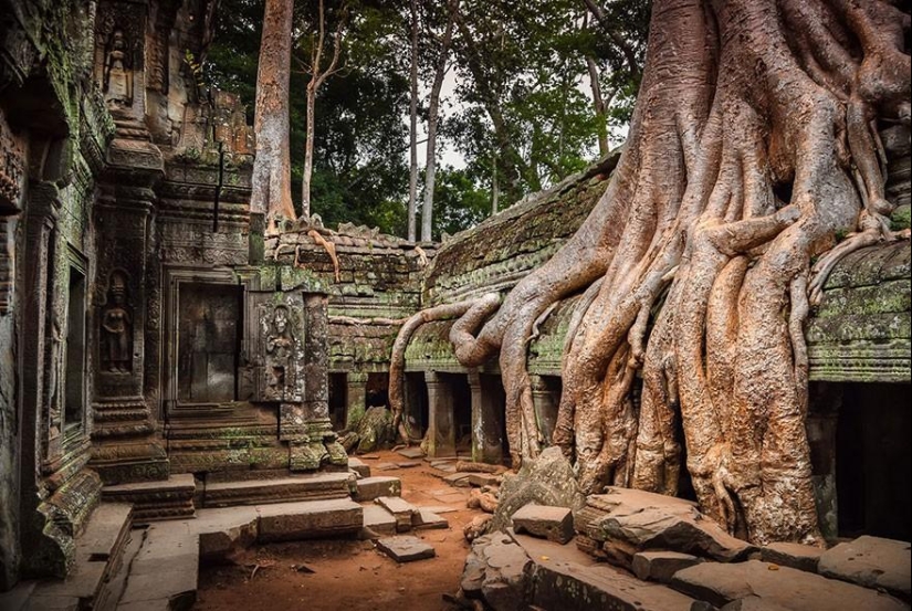 21 ejemplos cuando la naturaleza derrotó a la civilización