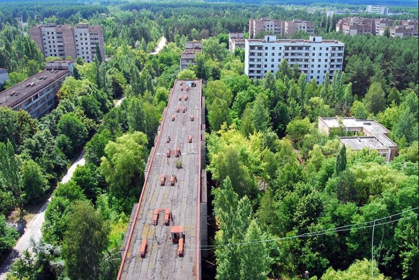 21 ejemplos cuando la naturaleza derrotó a la civilización