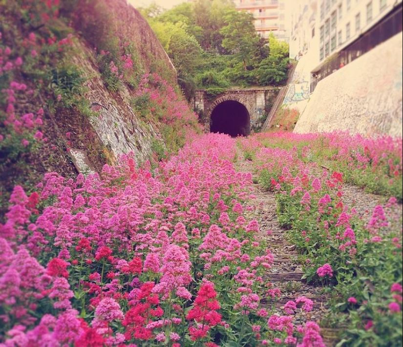 21 ejemplos cuando la naturaleza derrotó a la civilización