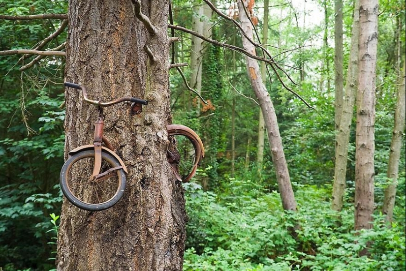 21 ejemplos cuando la naturaleza derrotó a la civilización