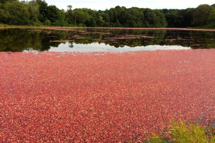 22 awesome photos showing how amazing our world is