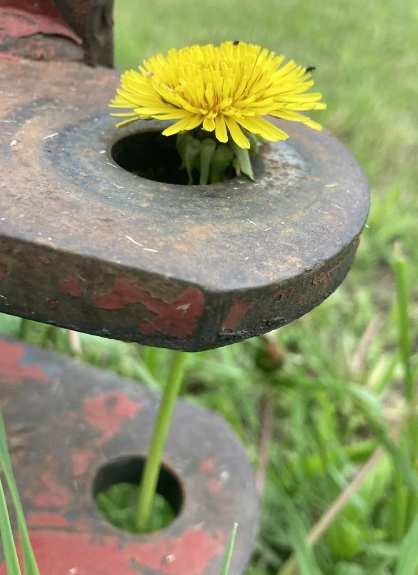 22 casos en los que la naturaleza sorprendió de la manera más inesperada