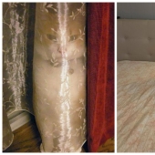 22 cats who have perfected the art of disguise