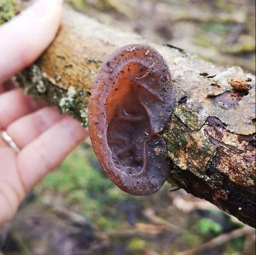 22 creepy pictures that have frost is on the skin