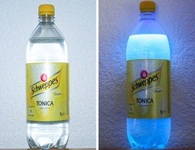 22 examples of how the surrounding world changes under an ultraviolet lamp