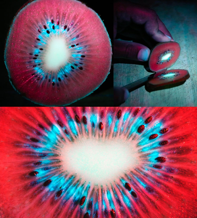 22 examples of how the surrounding world changes under an ultraviolet lamp