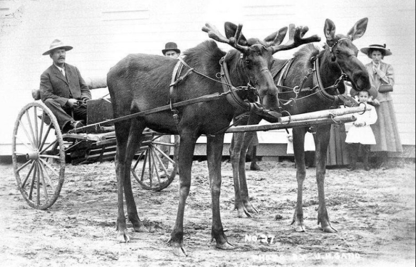 22 fotografías de archivo que no te dejarán indiferente