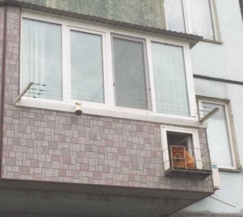 22 fotos de balcones y logias que causan admiración, risas y muchas preguntas