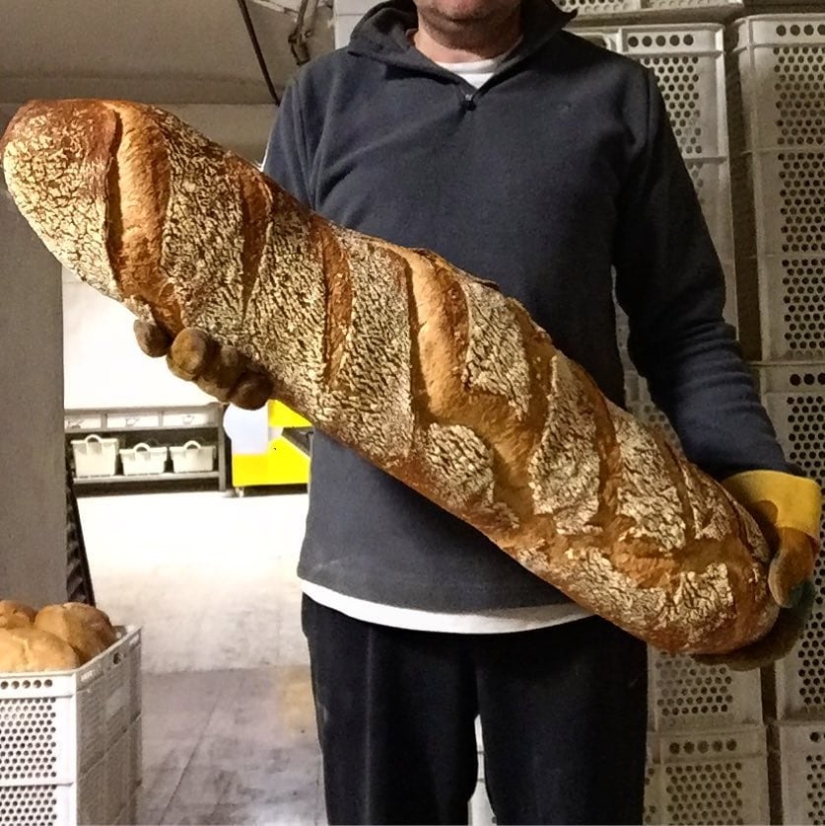 22 fotos de comida gigante: tamaños asombrosos y emociones indescriptibles