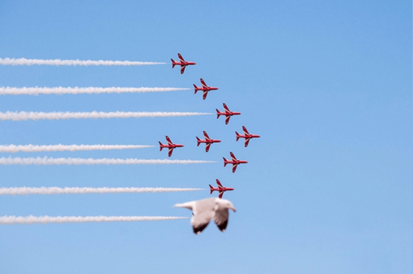 22 fotos divertidas tomadas en el momento adecuado