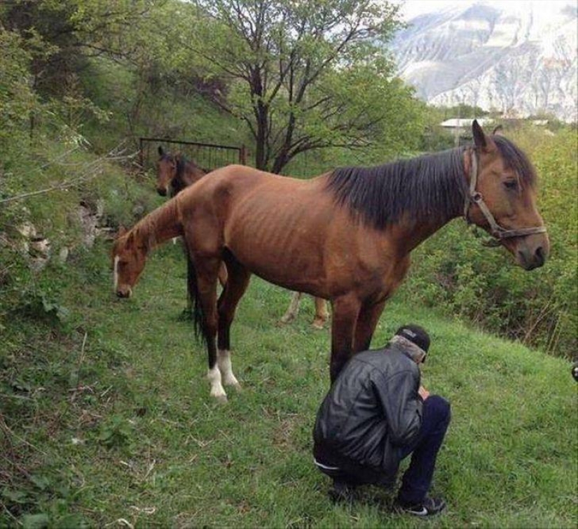 22 fotos que parecen haber sido tomadas especialmente para romper el cerebro