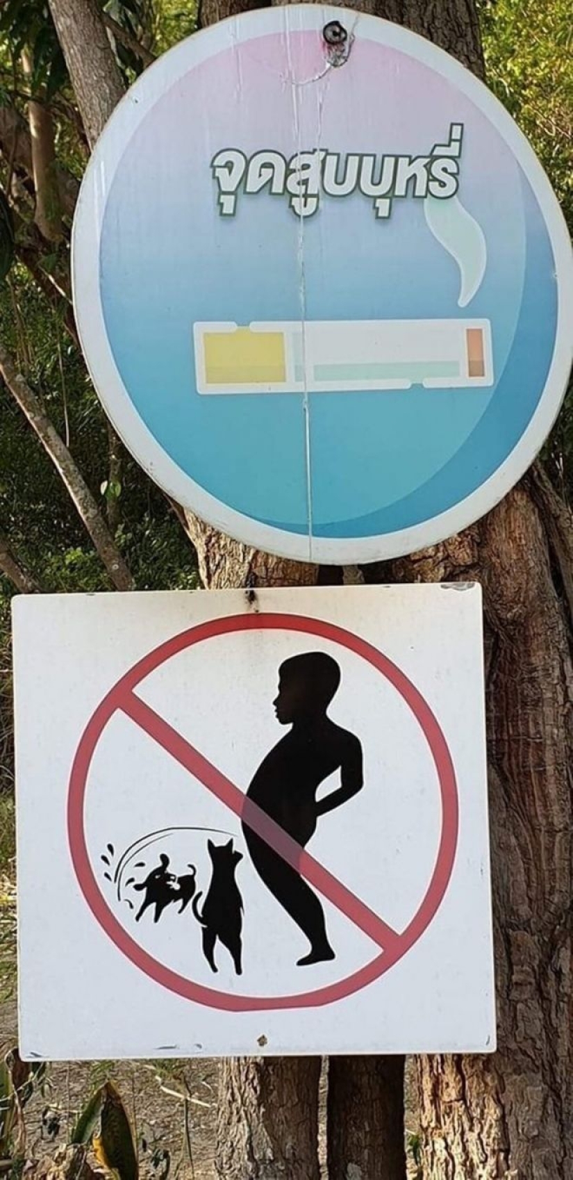 22 funny and strange road signs that will cheer you up