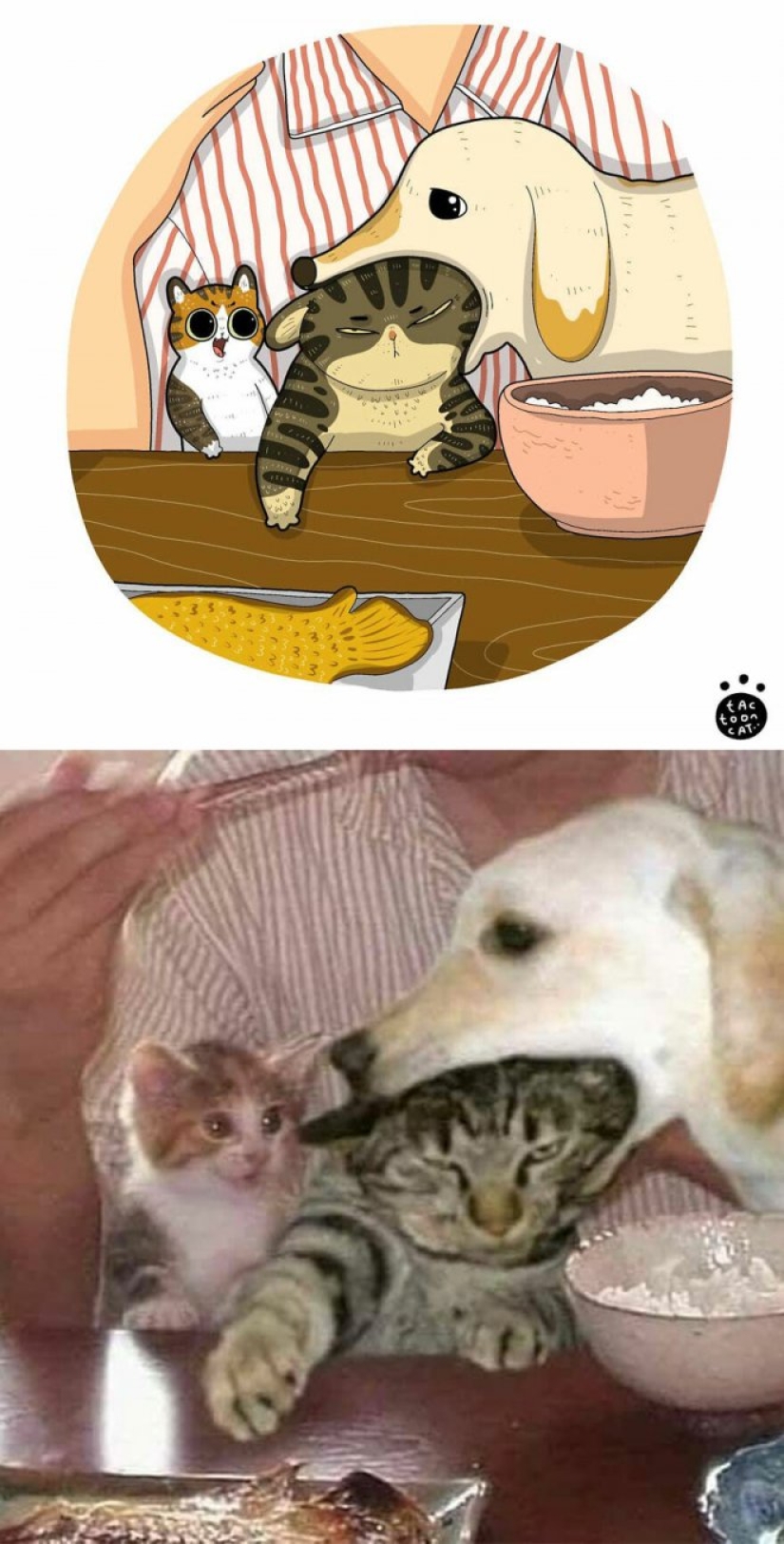 22 funny cat photos from the web that were turned into cartoon illustrations