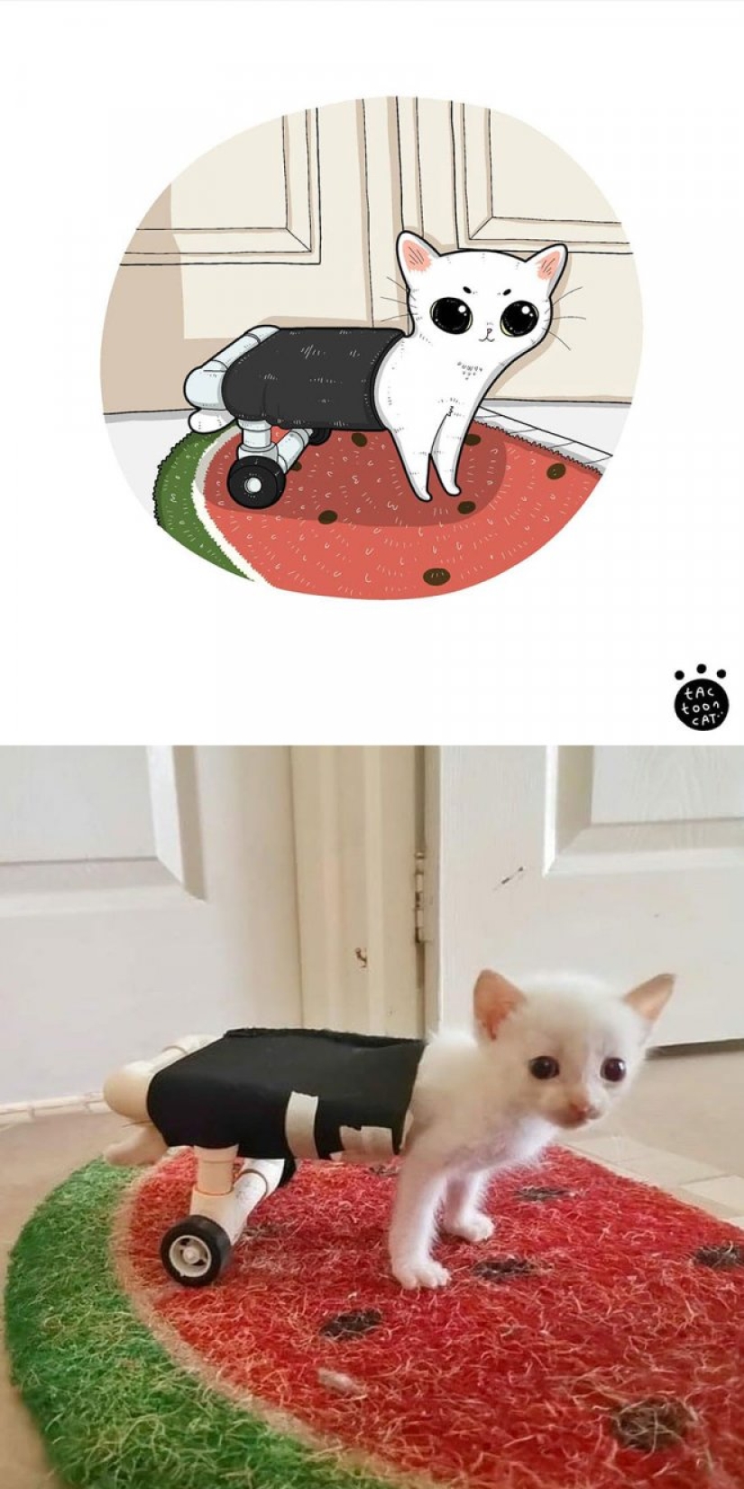 22 funny cat photos from the web that were turned into cartoon illustrations