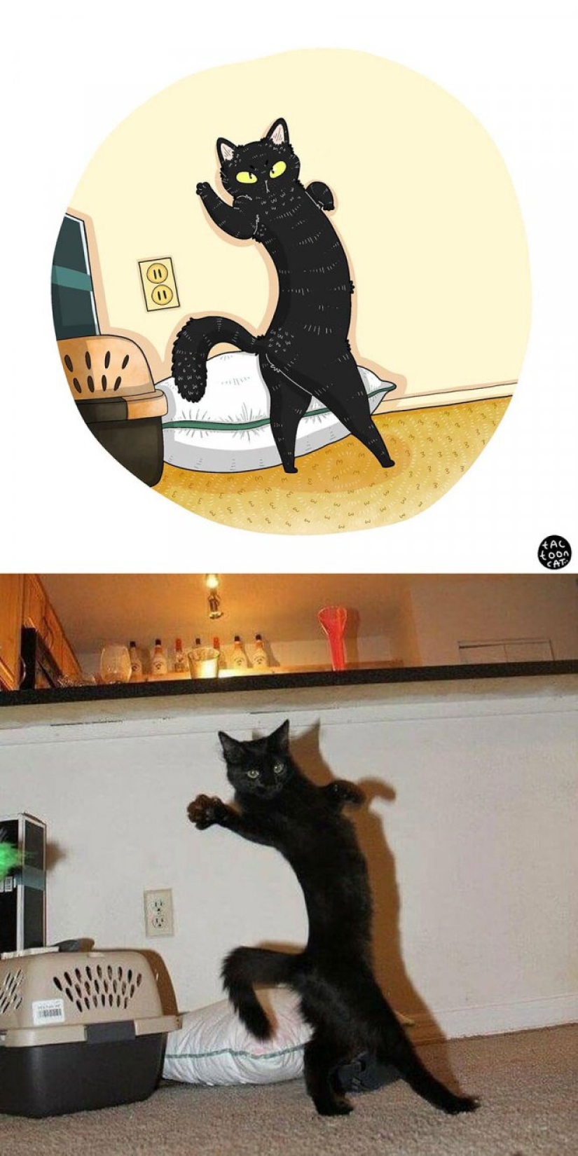 22 funny cat photos from the web that were turned into cartoon illustrations