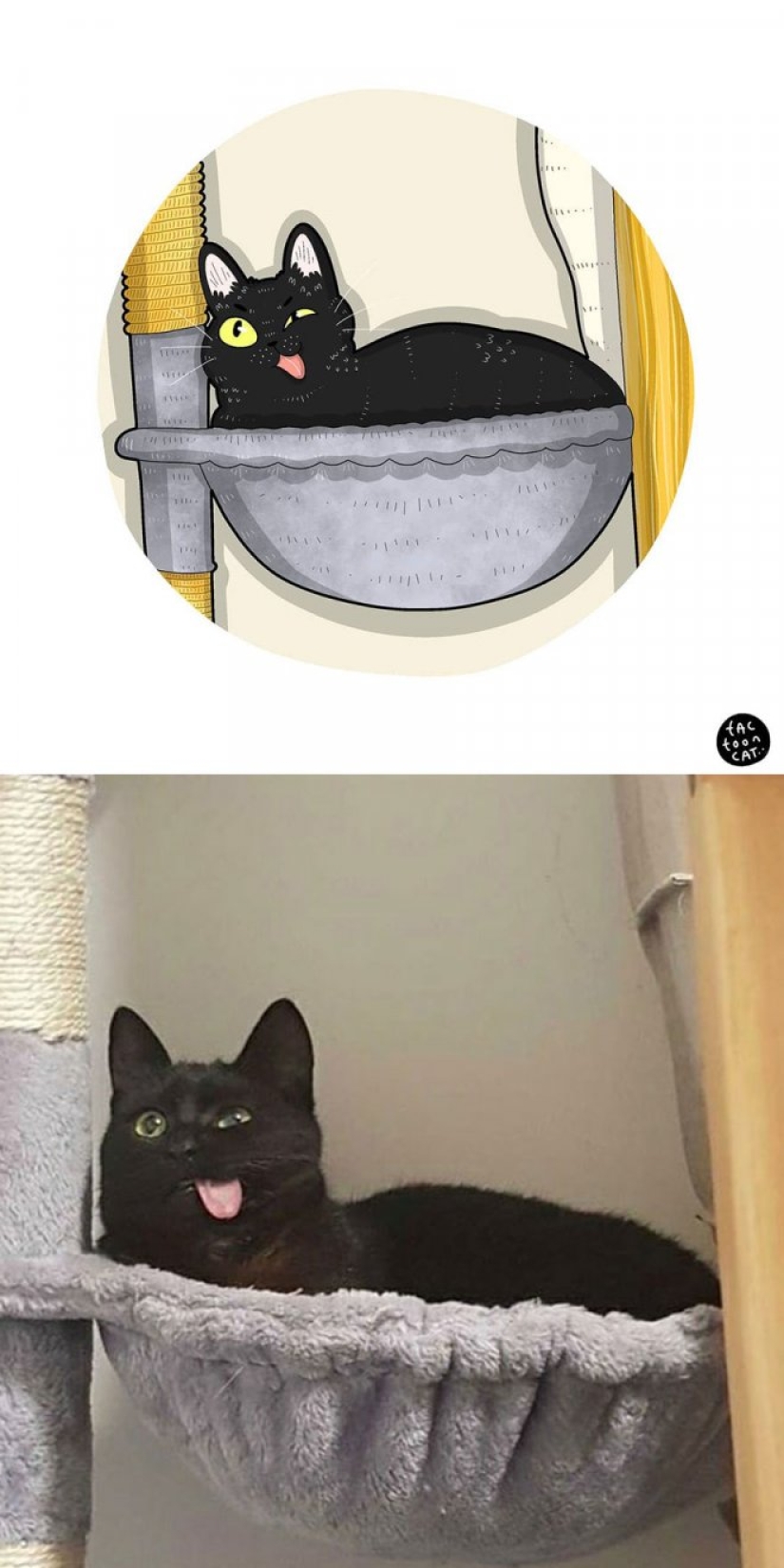 22 funny cat photos from the web that were turned into cartoon illustrations