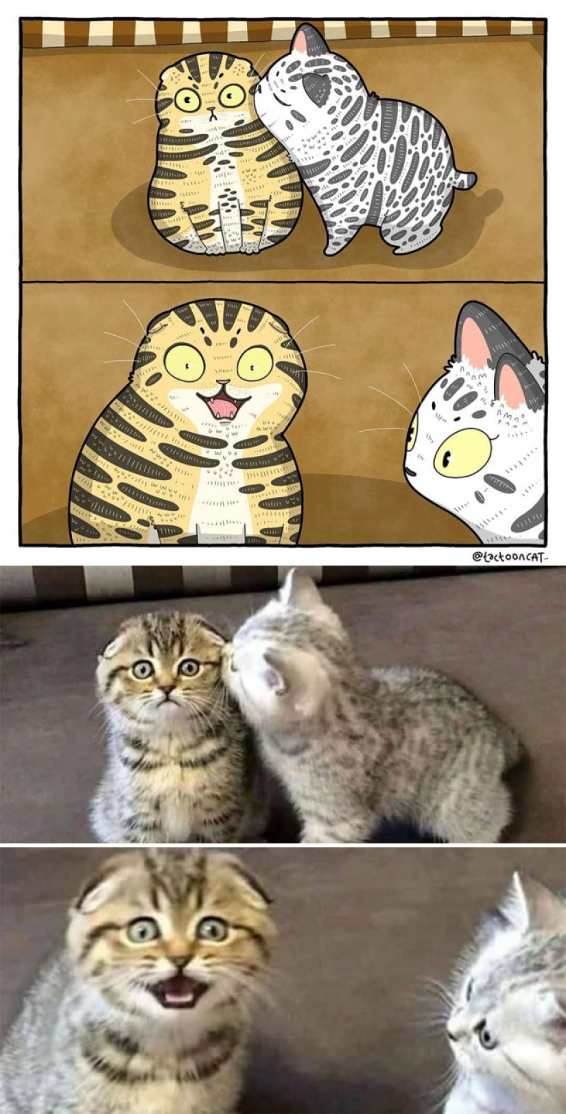 22 funny cat photos from the web that were turned into cartoon illustrations