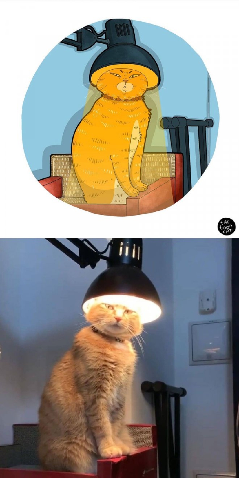 22 funny cat photos from the web that were turned into cartoon illustrations