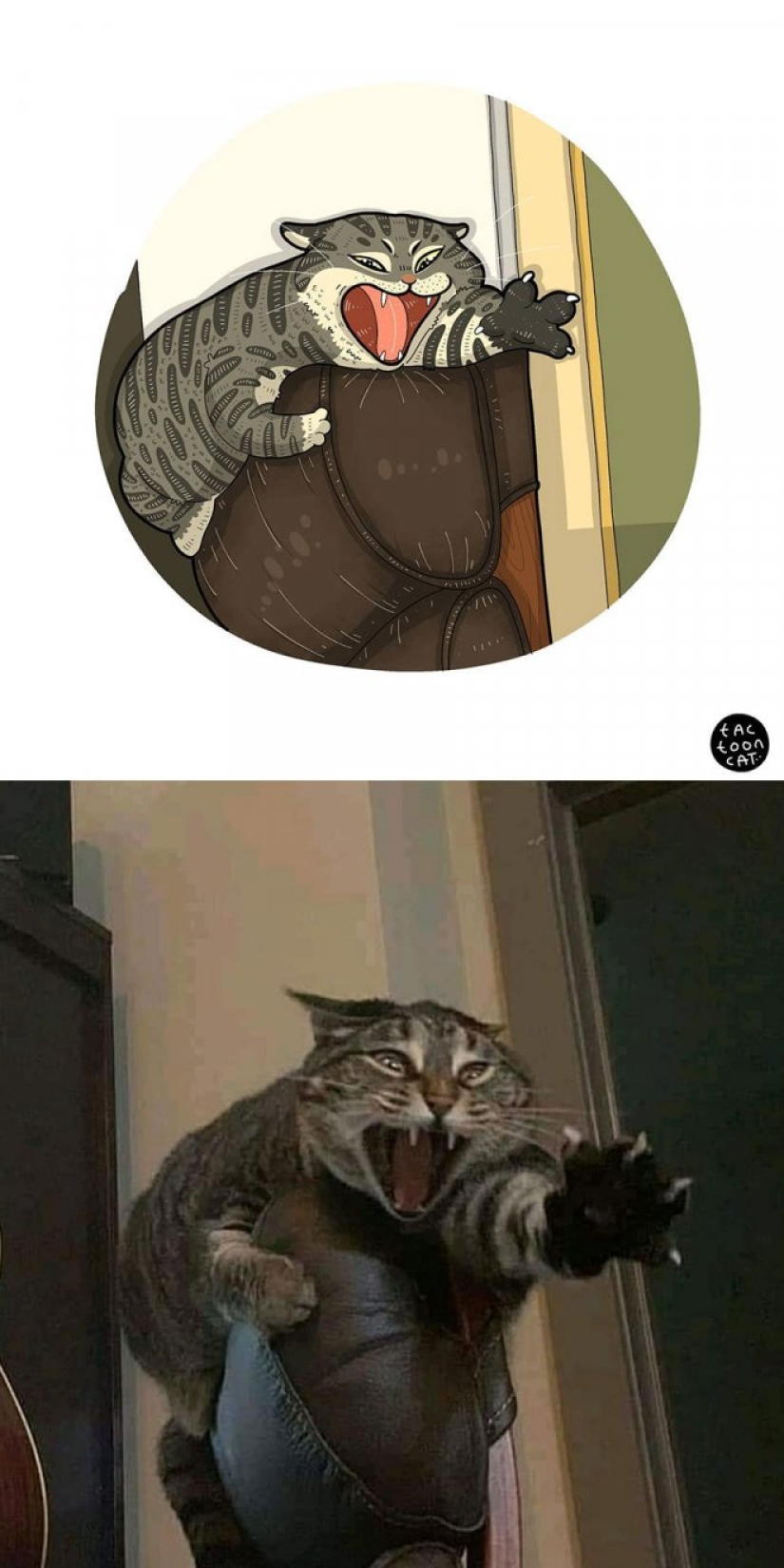 22 funny cat photos from the web that were turned into cartoon illustrations