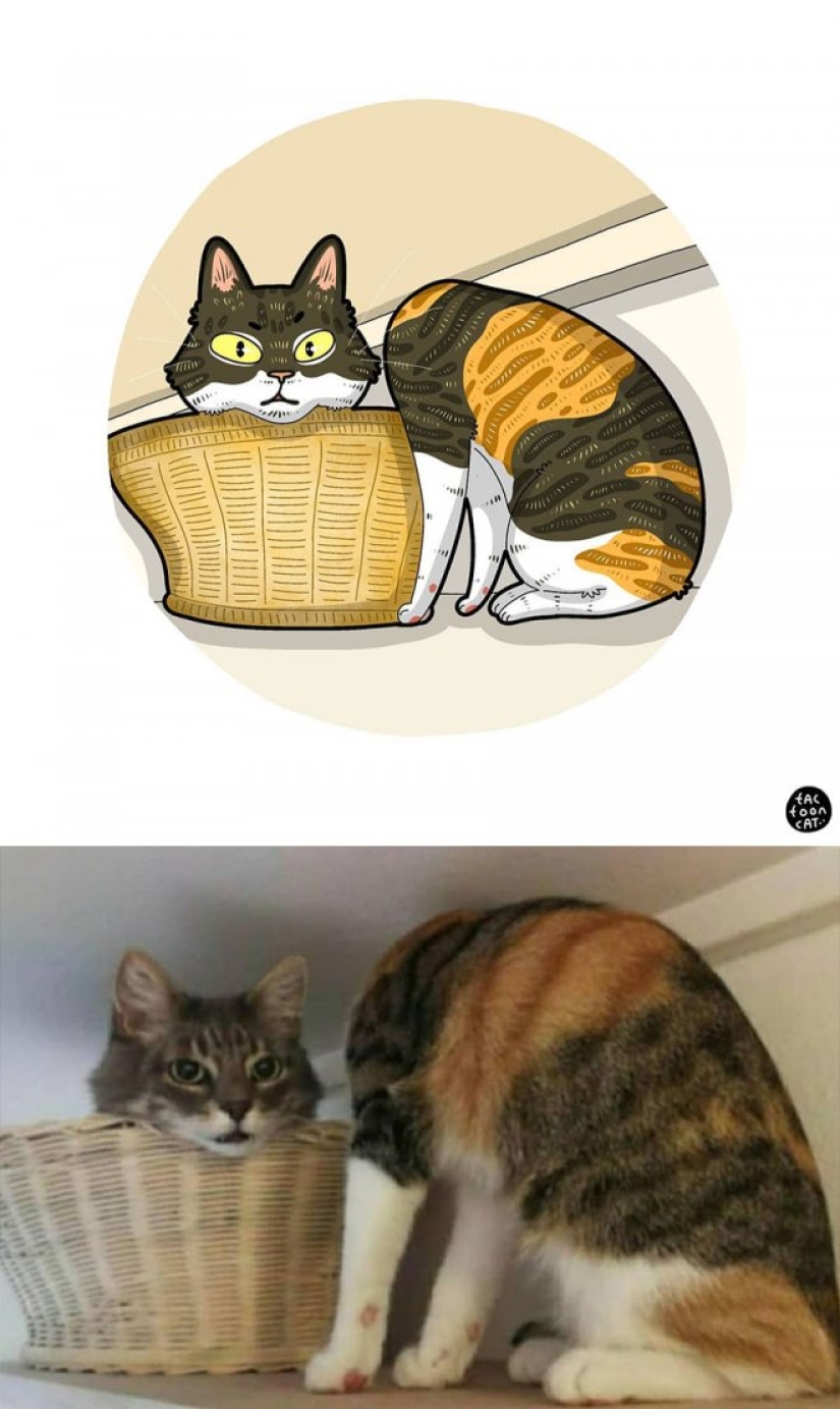 22 funny cat photos from the web that were turned into cartoon illustrations