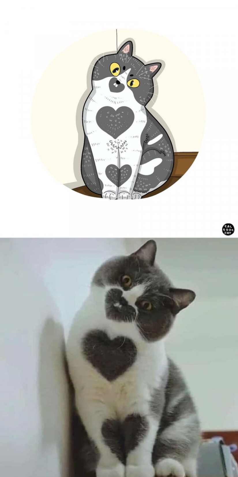 22 funny cat photos from the web that were turned into cartoon illustrations