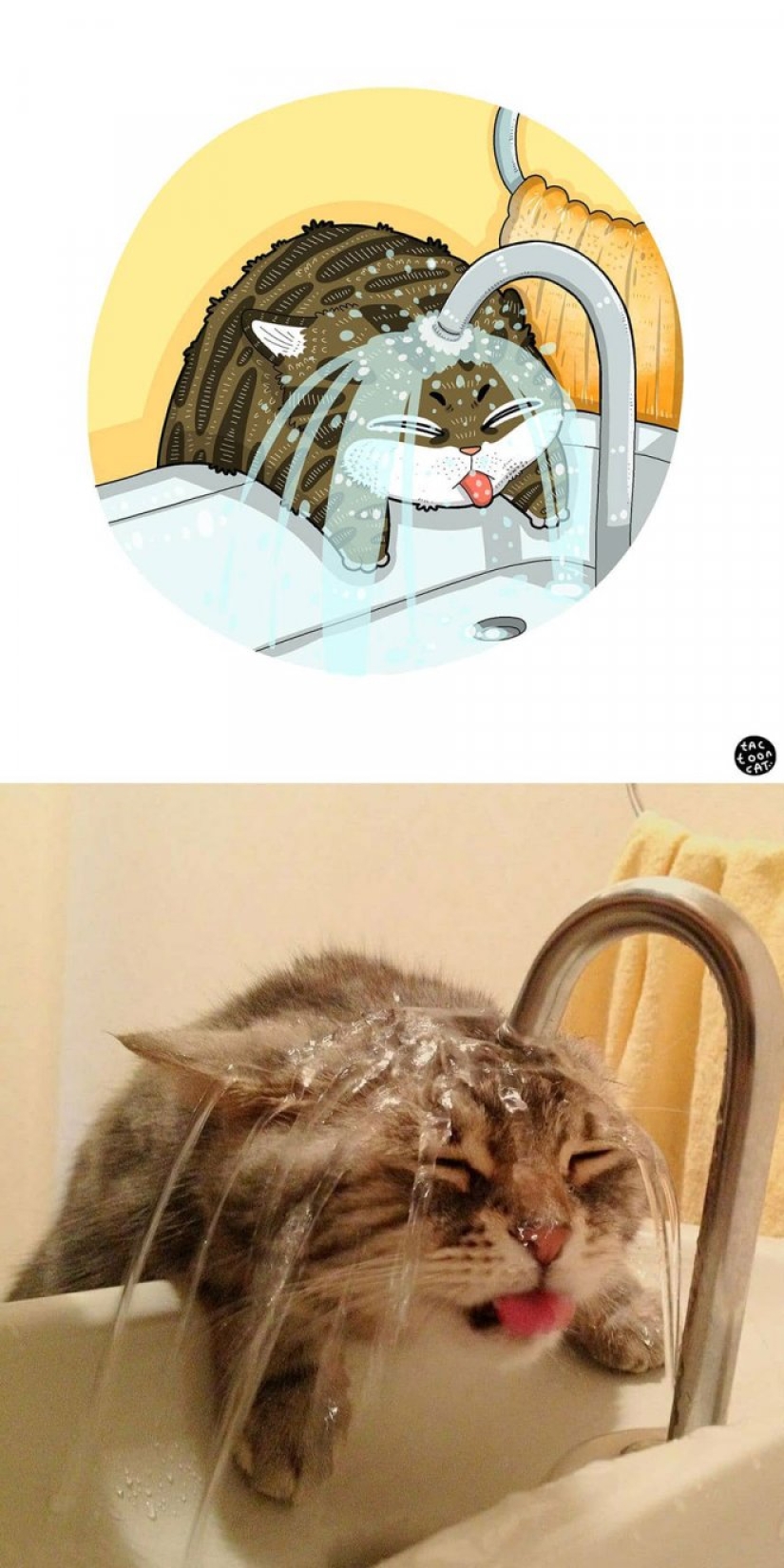 22 funny cat photos from the web that were turned into cartoon illustrations