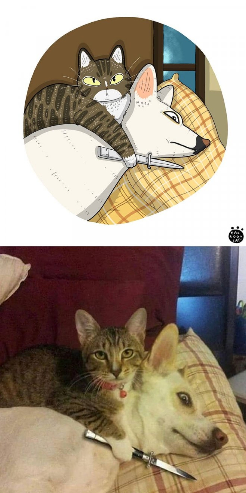 22 funny cat photos from the web that were turned into cartoon illustrations