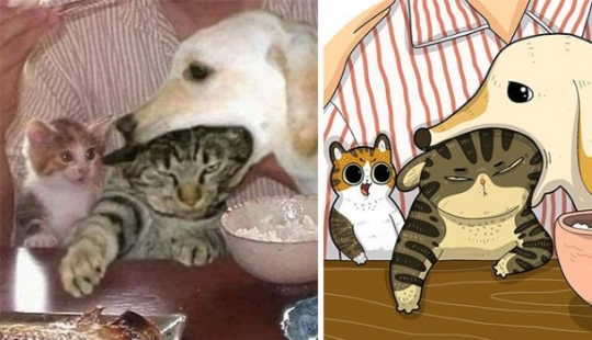 22 funny cat photos from the web that were turned into cartoon illustrations