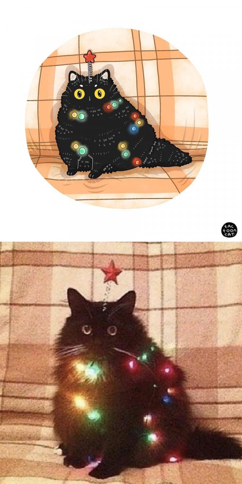 22 funny cat photos from the web that were turned into cartoon illustrations