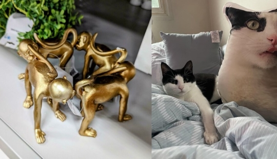 22 funny little things and decor that made the owners of the house laugh and delight