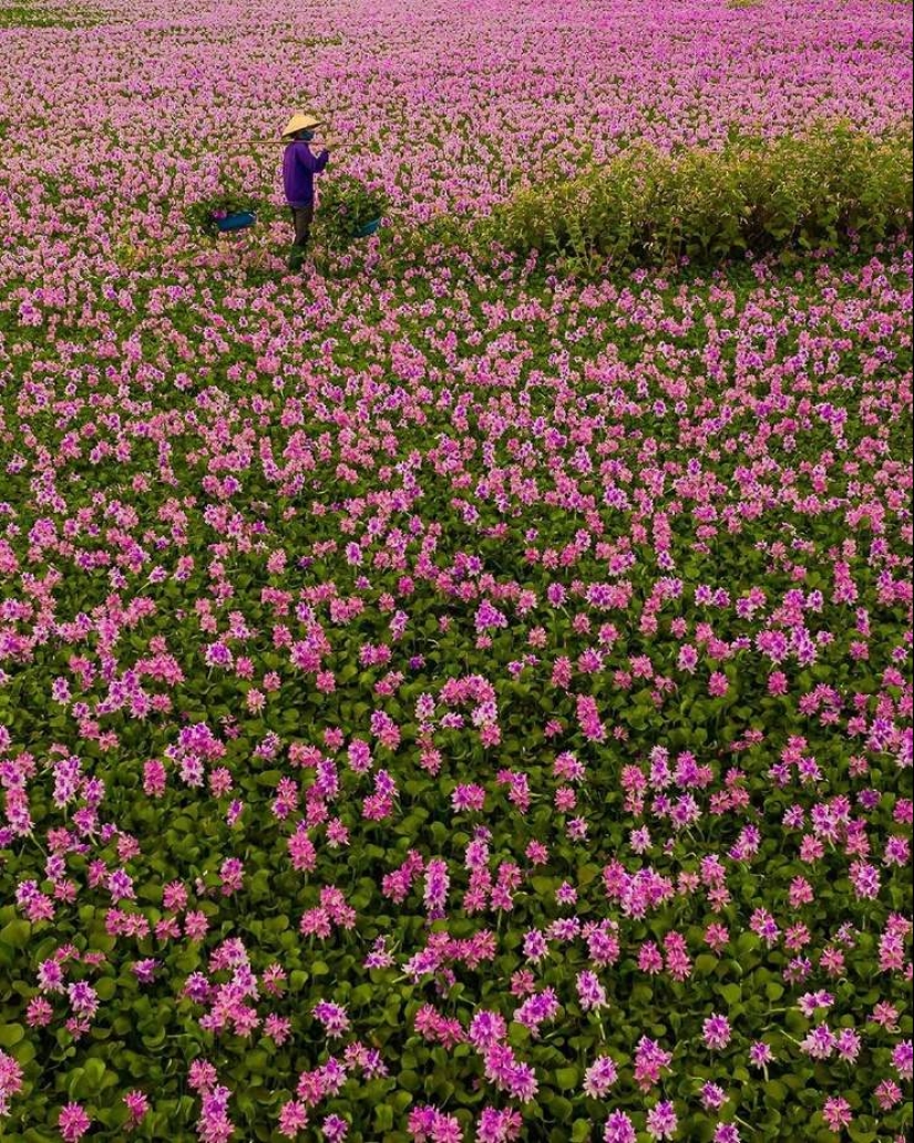 22 maravillosas fotos de Vietnam del talentoso Chan Tuan Viet