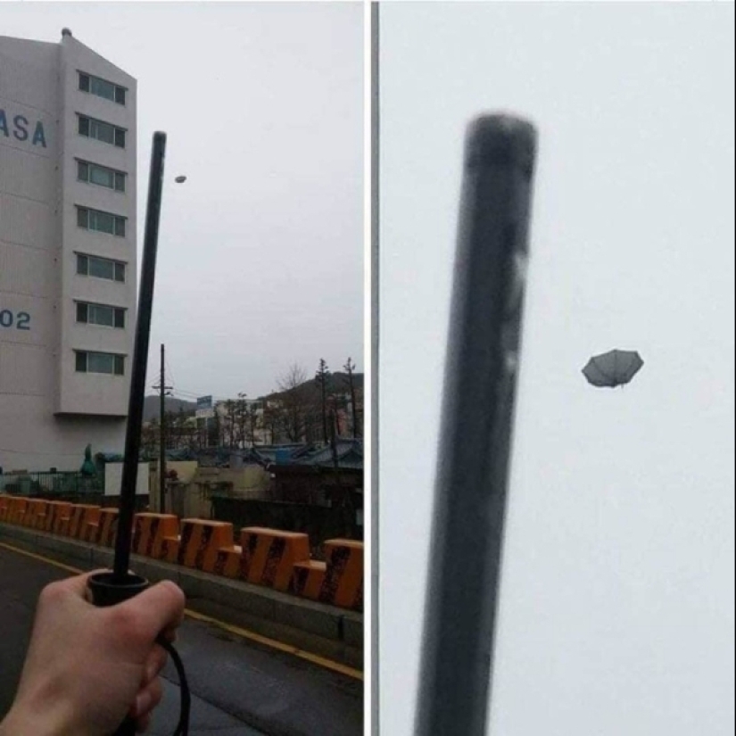 22 photos filled with pain and disappointment