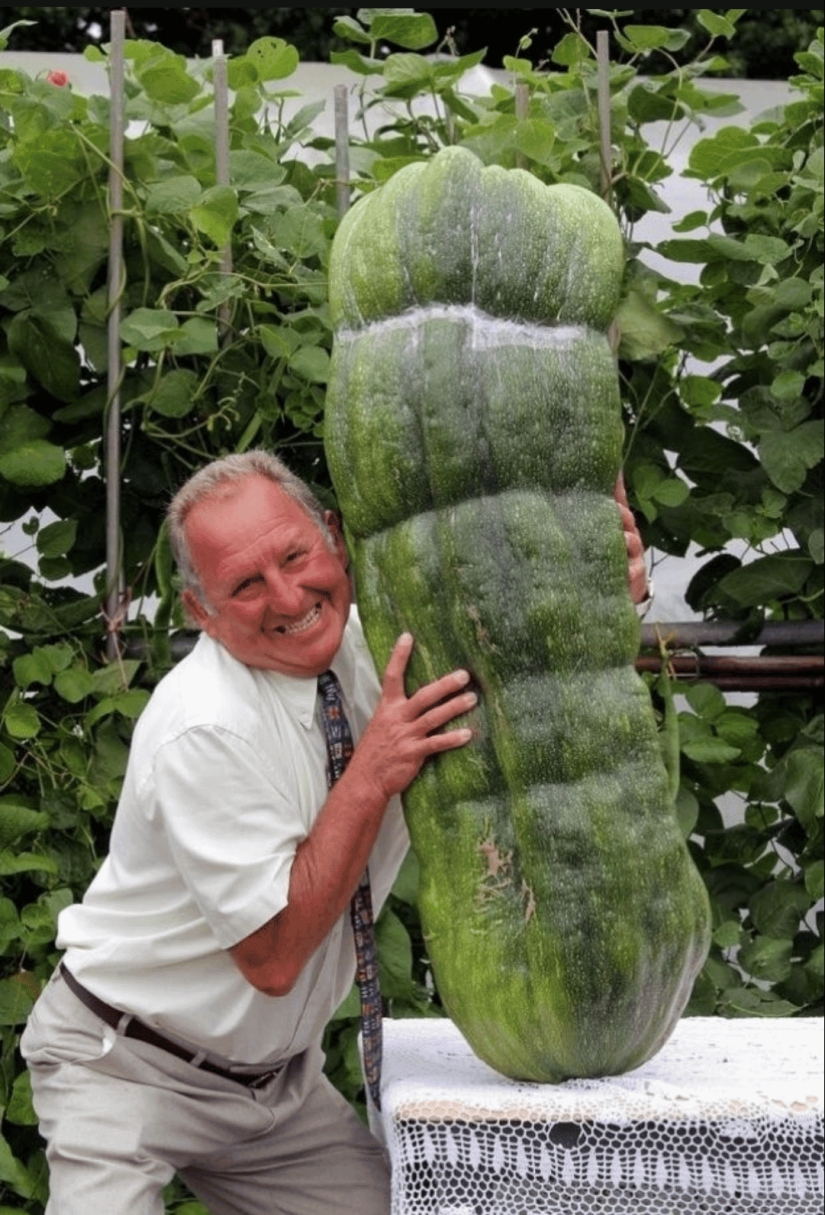 22 Photos of Giant Food: Amazing Sizes and Indescribable Emotions