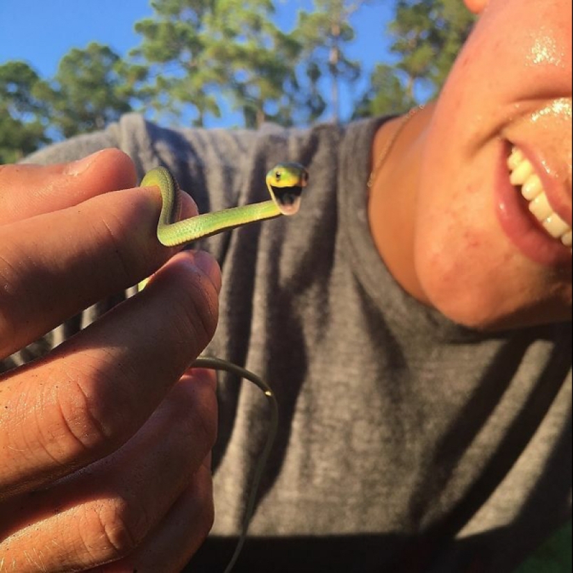 22 photos of small animals that bring great joy